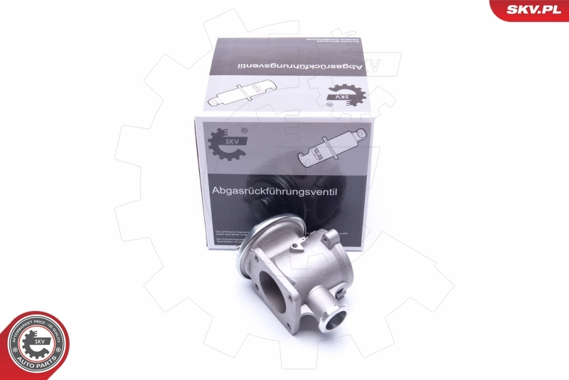 EGR Valve